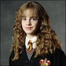 Hermione Granger is Ron's future wife!