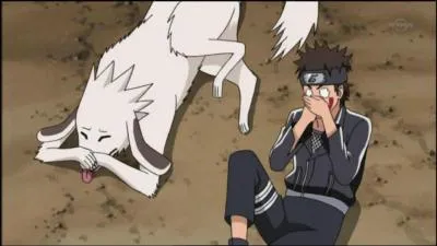 What does Naruto do to 'destabilize' Kiba?