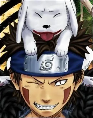 Does Akamaru stay on Kiba's head in Shippuden?
