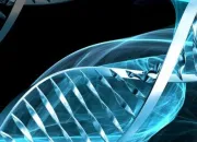 Quiz De l'ADN à la protéine