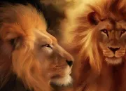 Quiz Trouve l'animal à l'aide d'une poésie (2)