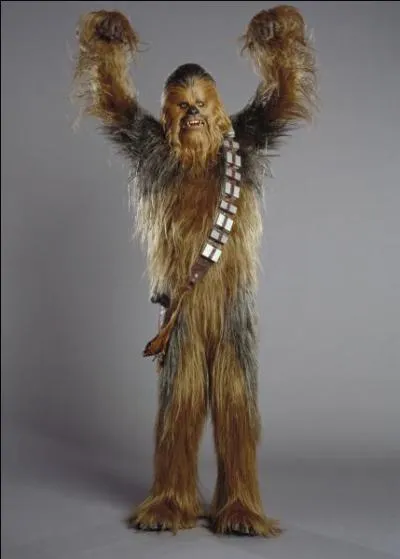 And who is this wookie?