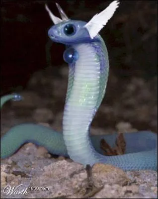 Which Pokemon can you see in this photo?