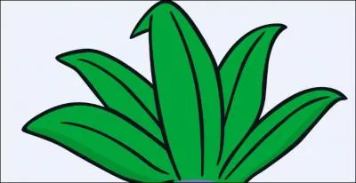 Which Pokemon has all these leaves on its head?