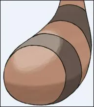 Which Pokemon does this tail belong to?