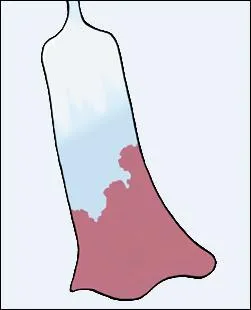 Which Pokemon has a talisman for a tail?