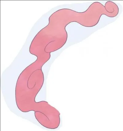 Which Pokemon does this smoke come from?