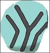 Which Pokemon has such a mark on its forehead?