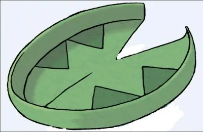 Which Pokemon has this nenuphar on its head?