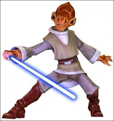 Who is this Jedi?