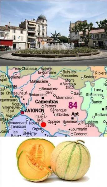 What is the name of this department ?