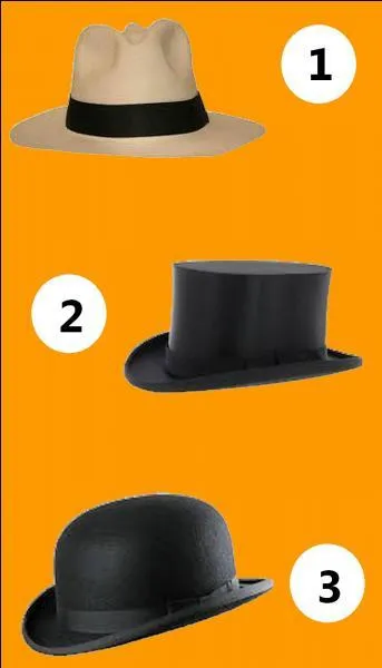 Which of these three hats is a panama hat?