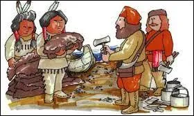 What were some skills the Metis had that helped with the fur trade ?