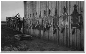 Who was the North West Company's competitor?