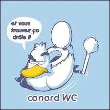 In what year did the Canard-WC brand of toilet care products first appear?