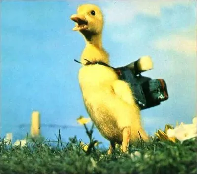 From the photo, find the name of the corresponding TV series.