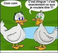 Which of the following is a duck call?