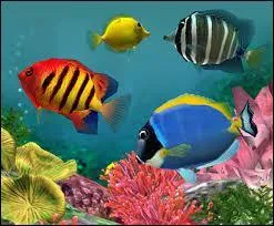 What is the name of the science that studies fish?