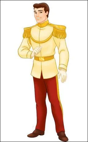 What is this picture called