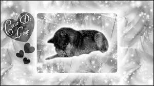 Who sang Coeur de loup in the 80s?