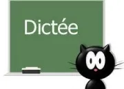 Quiz La dictée au brevet