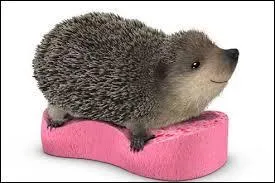 For which sponge brand do we see a herisson in the ads?