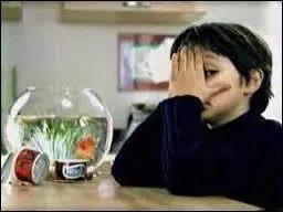 What's the name of the goldfish in the Nestle ads?