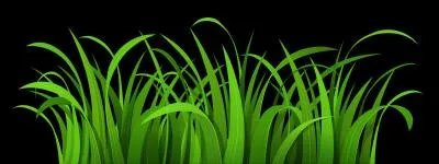 Which type of punctuation goes at the end of the following sentence : 
What color is the grass
