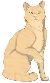 Who is Firestar's mate?