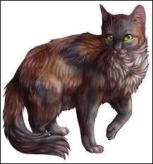 Who has a brother who is in a different clan?