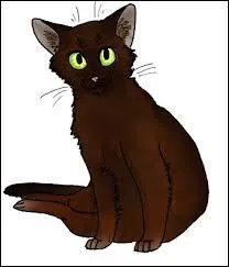 Who was paralysed by a tree?