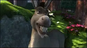 Which animal is the donkey's companion in Shrek?