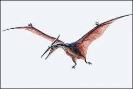 Were the pterosaurs, dinosaurs?