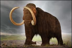 Did mammoths and humans live in the dinosaur times?