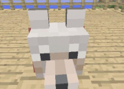 Quiz Minecraft