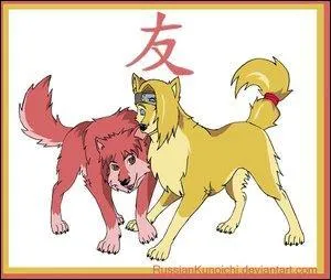 The final akatsuki pairing: