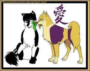 One you only see in shippudens, the other you see in shippudens and normals: