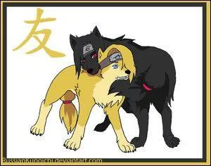 Back with the akatsuki: