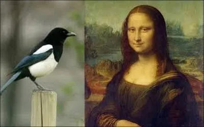 Which mollusc is it?