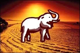 Which chocolate brand has an elephant logo?