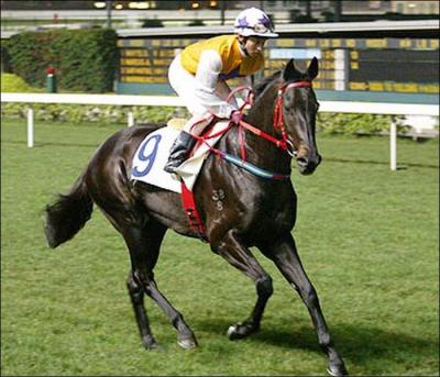Jackie owned a racehorse in Hong Kong from 2001 - 2003. What was its name?