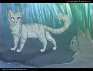 What is this impossible couple?