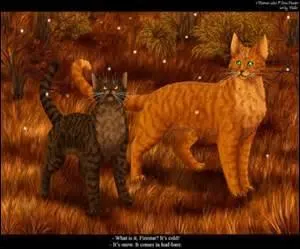 What are these cats?