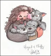 In Latin, Hagrid's name (Rubeus) means yellow.