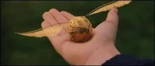 The Vif d'or is the size of a tennis ball.