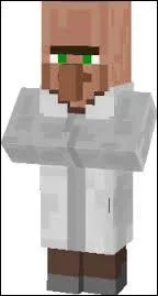 What is his BFF in Minecraft called?