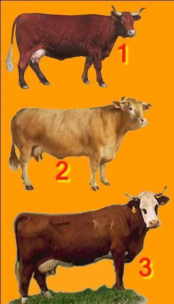 If I tell you "Abundance". Which number will you choose?