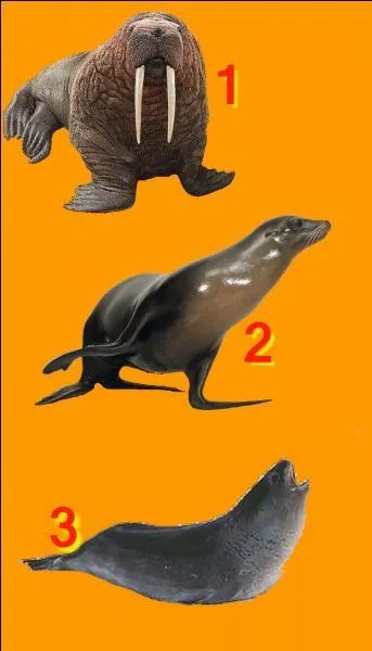If I tell you "Otter". Which number will you choose?