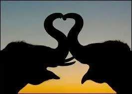 Who said that? "If we only wanted to be happy, it would soon be done. But we want to be happier than others, and that is almost always difficult because we believe others to be happier than they are"