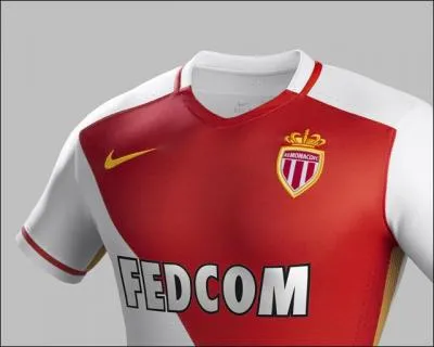 Vice-champion of France 2014, which club does this jersey belong to?